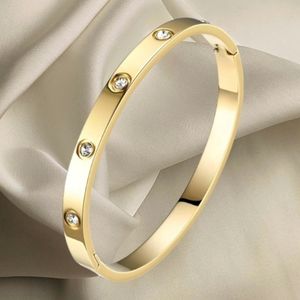 18k Gold Plated Stainless Steel Bangle with Cubic Zirconia